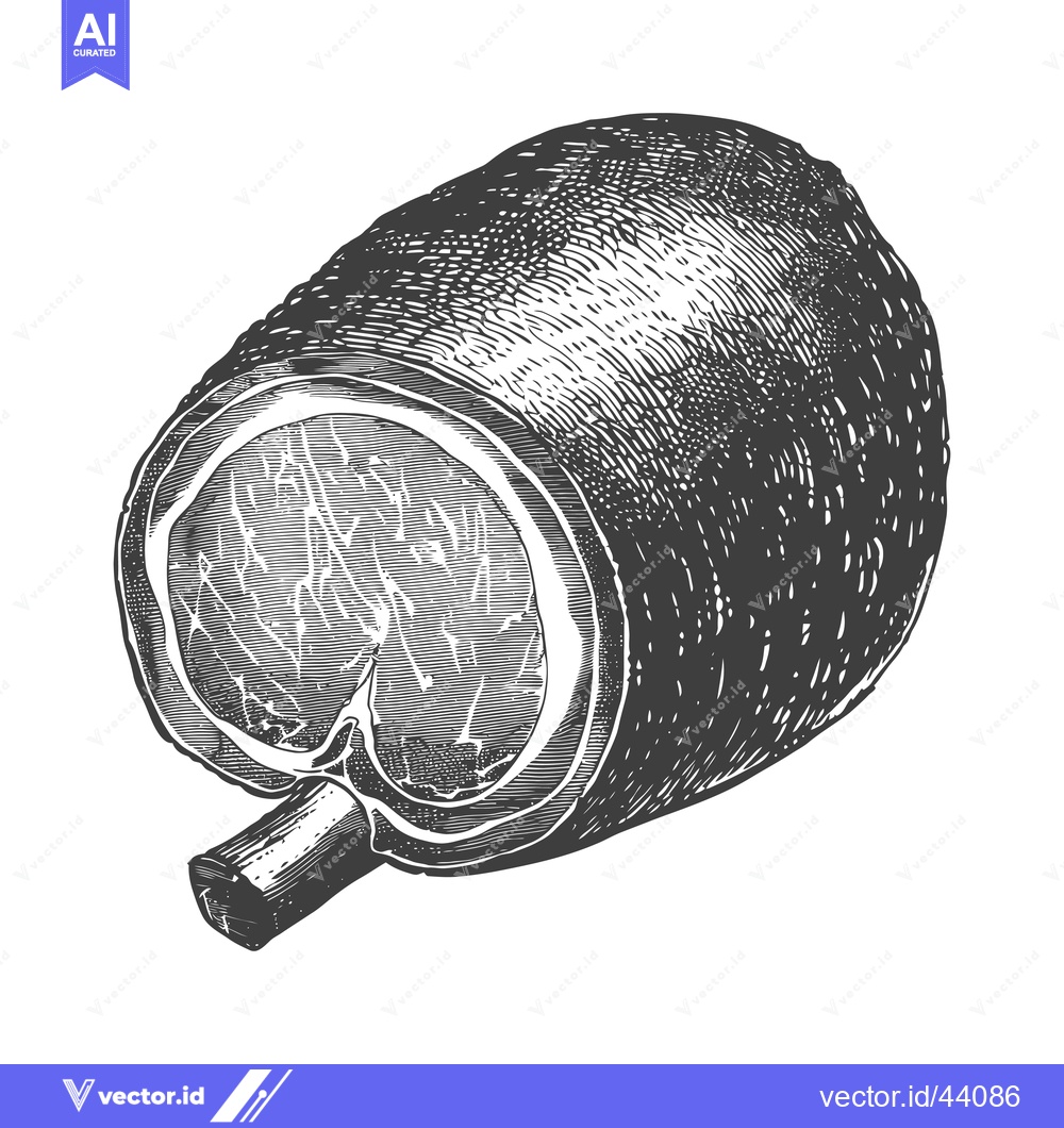 Premium Vector of A Detailed Engraving of a Sliced Smoked Ham Hock
