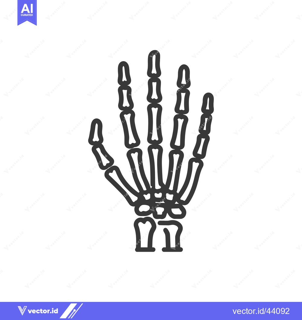 Premium Vector of Anatomical Hand Skeleton Outline: Medical Illustration, Bone Structure