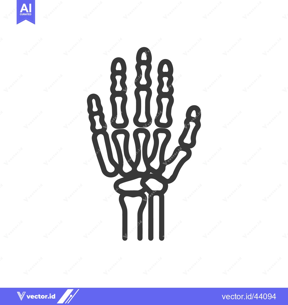Premium Vector of Anatomical Hand Skeleton Outline: Medical Illustration on White Backgr
