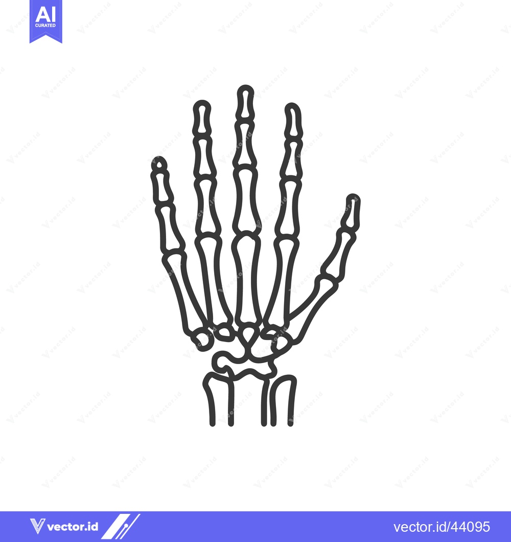 Premium Vector dari Anatomical Hand Skeleton Outline: Medical Illustration on White Backgr