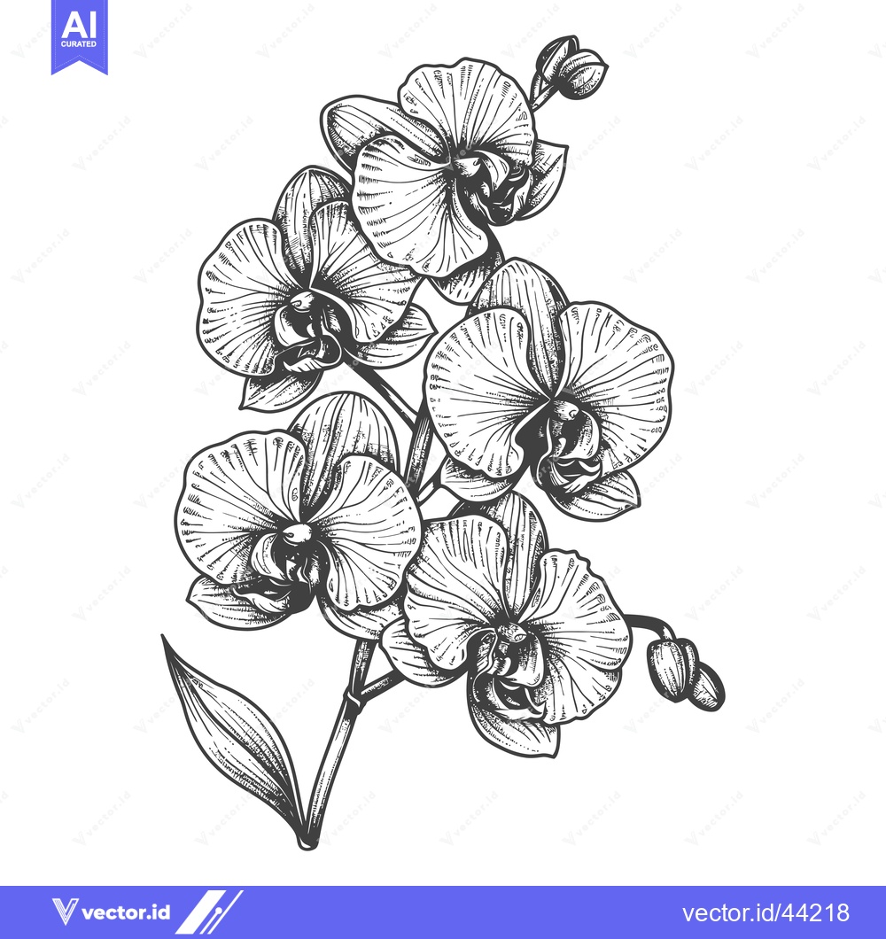 Premium Vector dari Hand-Drawn Black and White Illustration of a Blooming Orchid