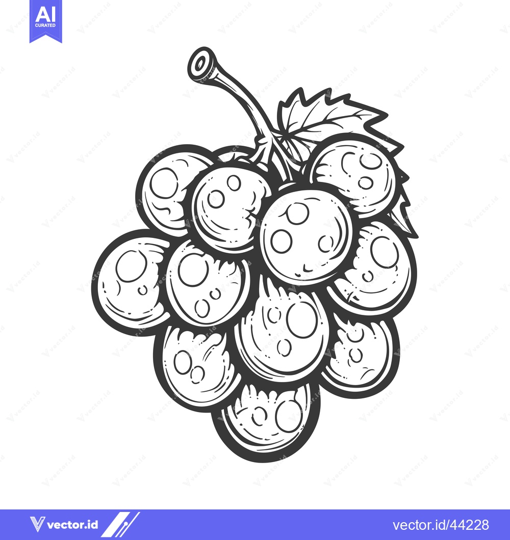 Premium Vector of Hand-drawn Black and White Illustration of a Bunch of Grapes