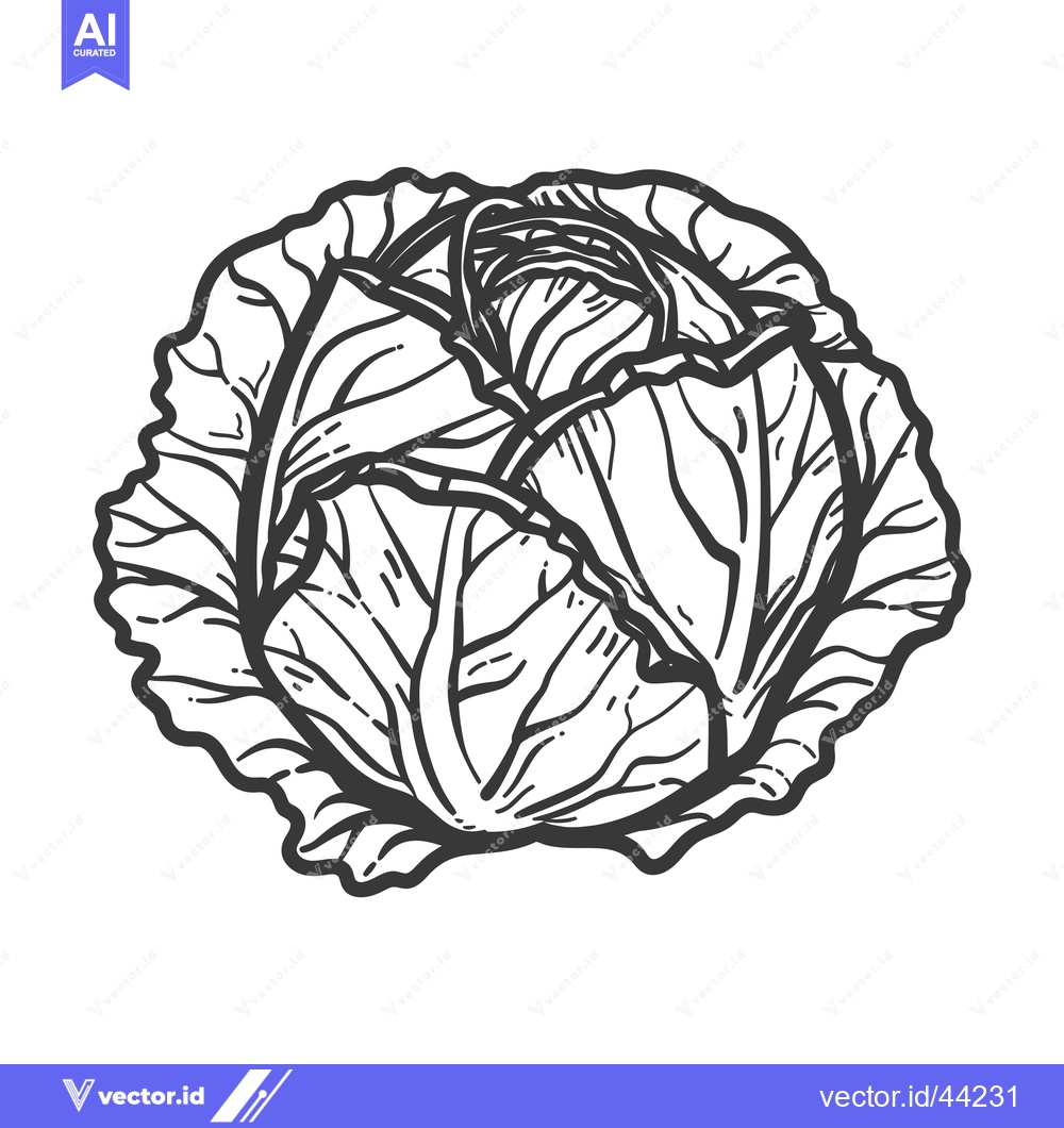 Premium Vector of Hand-drawn black and white illustration of a cabbage head