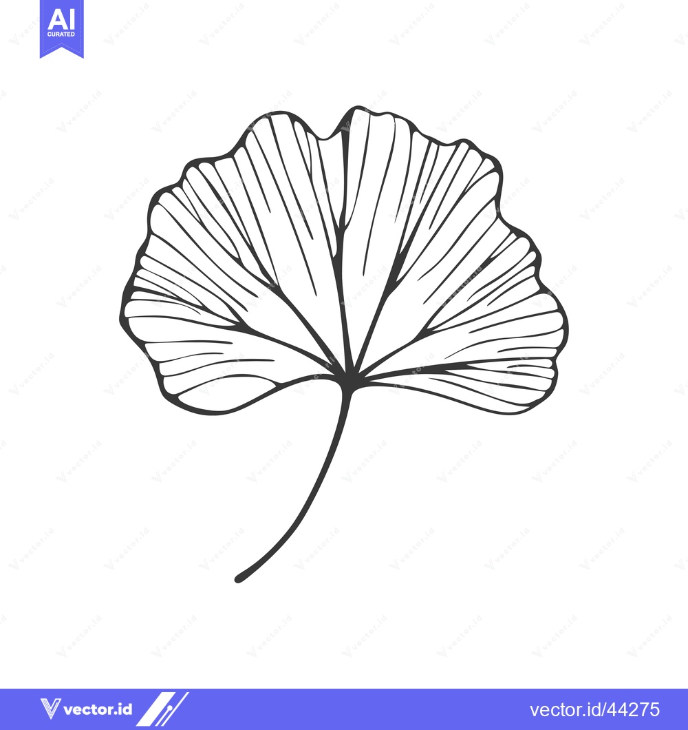 Premium Vector of Hand-Drawn Black and White Illustration of a Ginkgo Leaf
