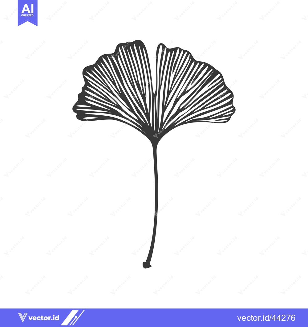 Premium Vector dari Hand-Drawn Black and White Illustration of a Ginkgo Leaf