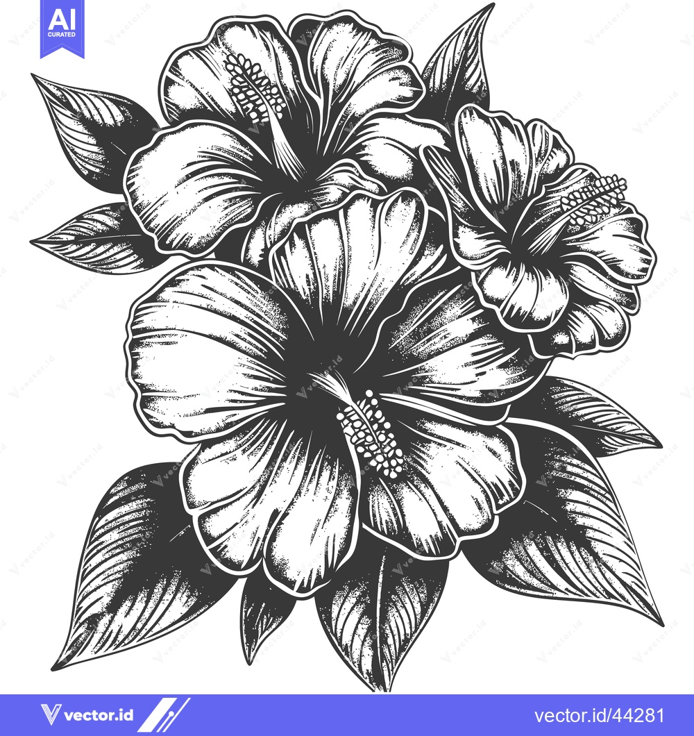 Premium Vector dari Hand-drawn Black and White Illustration of a Hibiscus Flower Bunch