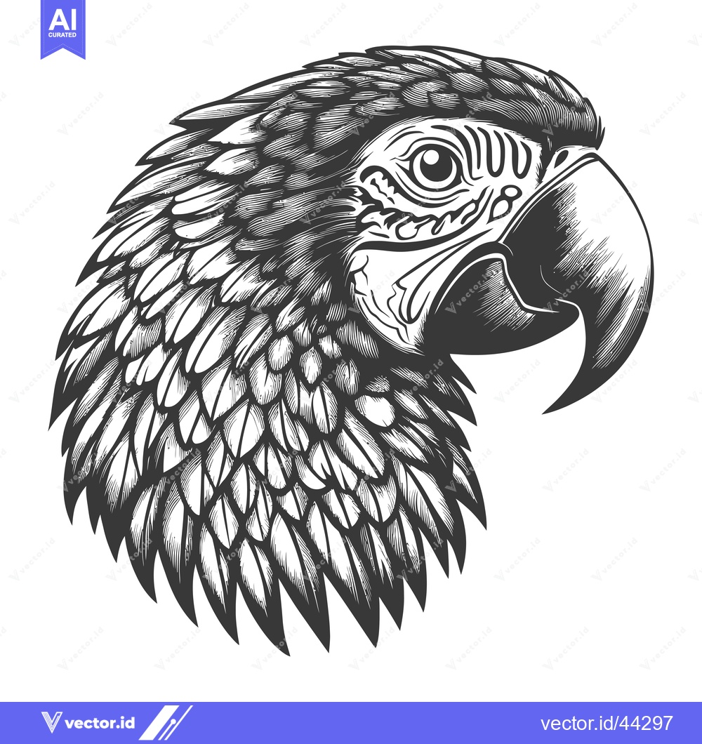 Premium Vector of Hand-Drawn Black and White Illustration of a Parrot's Head