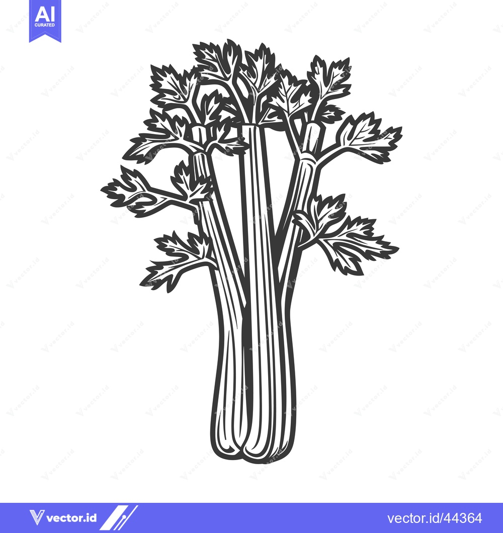 Premium Vector of Hand-Drawn Black and White Illustration of Celery