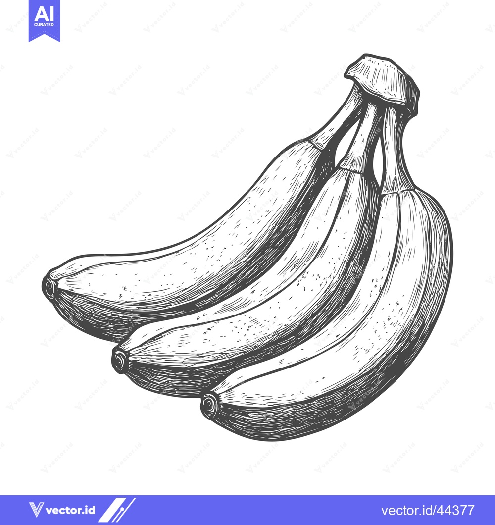 Premium Vector dari Hand-Drawn Black and White Illustration of Four Bananas