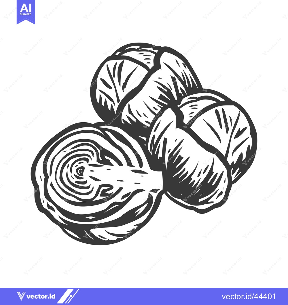 Premium Vector dari Hand-drawn Black and White Illustration of Two Brussels Sprouts