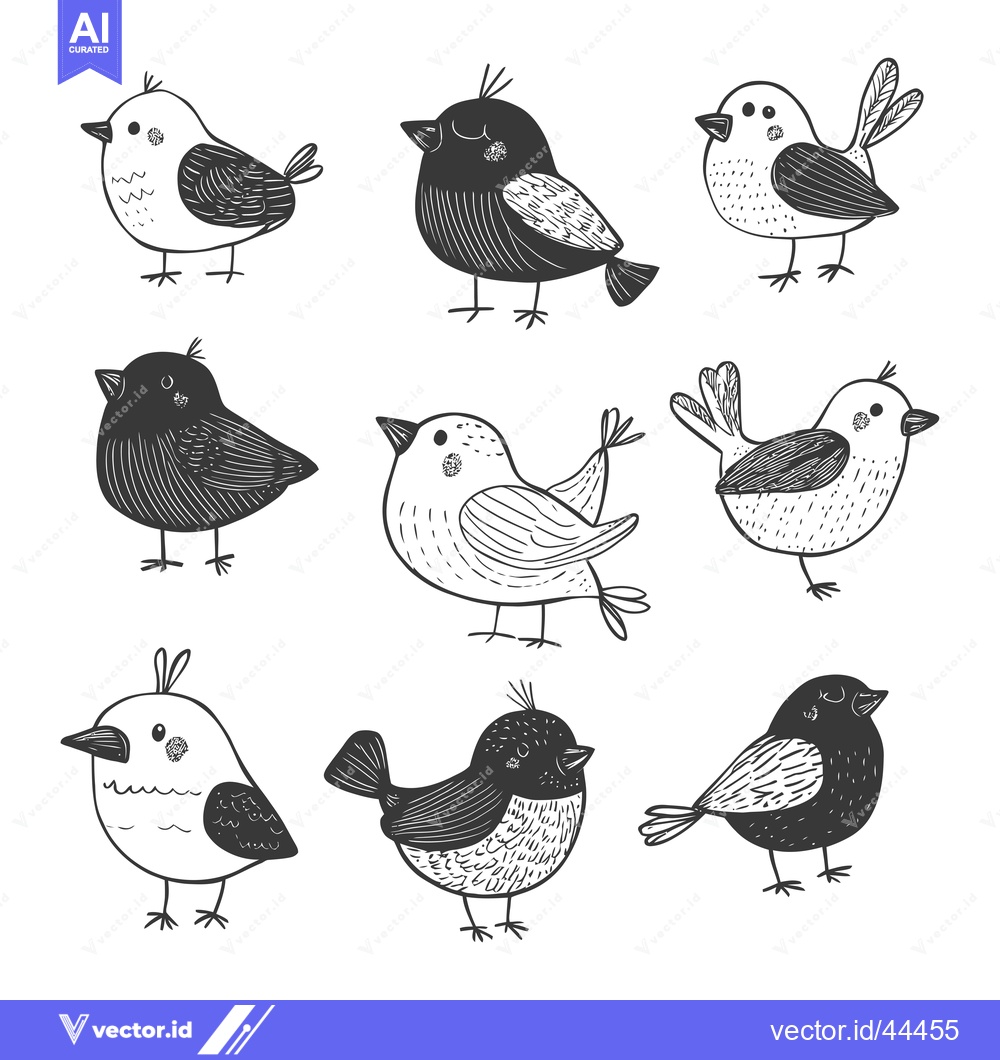 Premium Vector of Hand-Drawn Black and White Illustrations of Various Bird Species