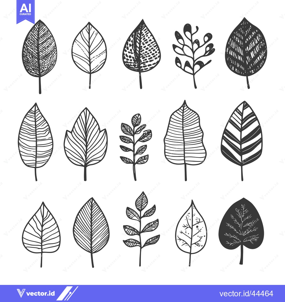Premium Vector of Hand-drawn black and white illustrations of various leaf and twig shap