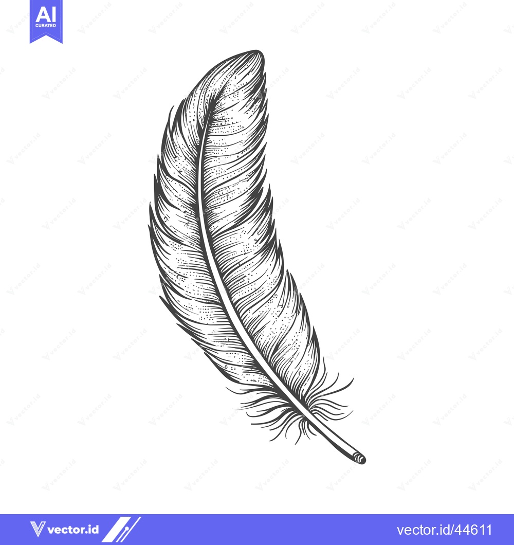 Premium Vector dari Hand-Drawn Detailed Black and White Bird Feather Illustration