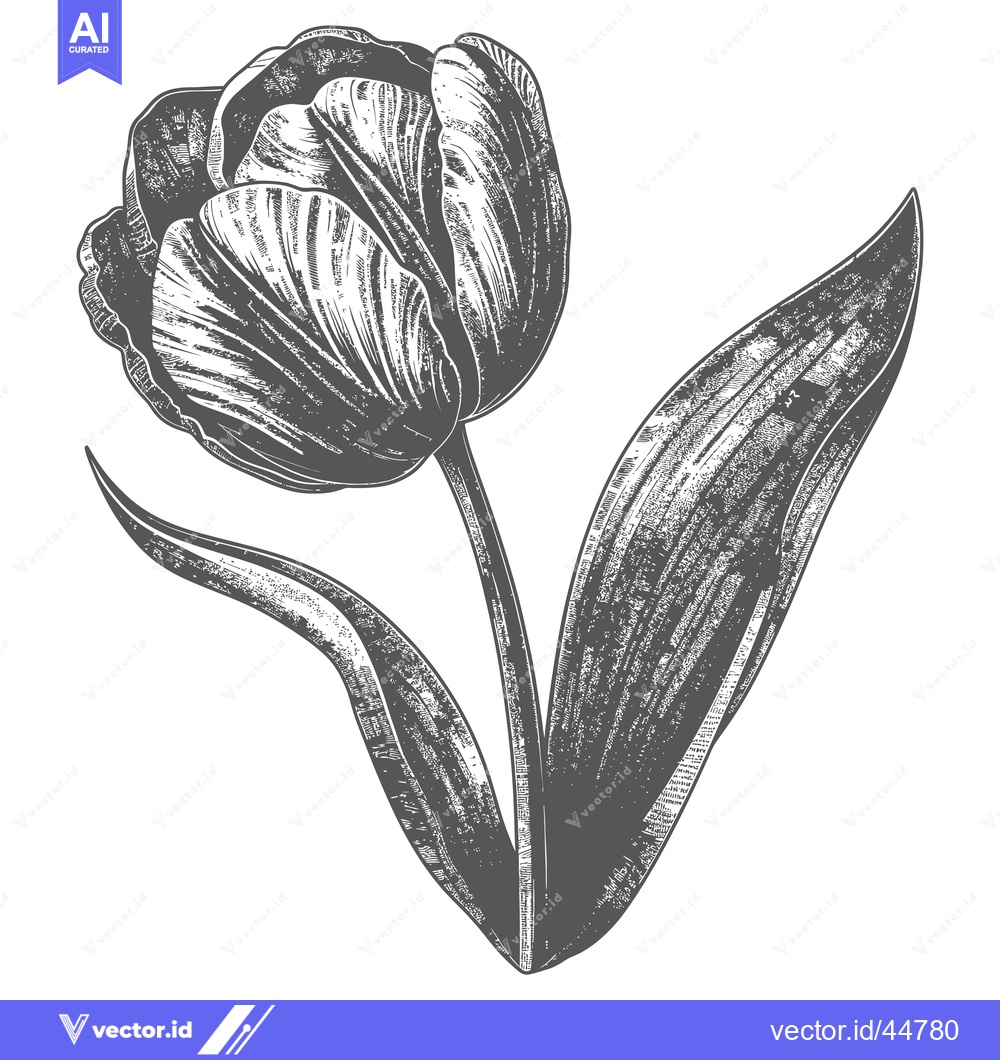 Premium Vector dari Hand-Drawn Engraved Illustration of a Single Tulip