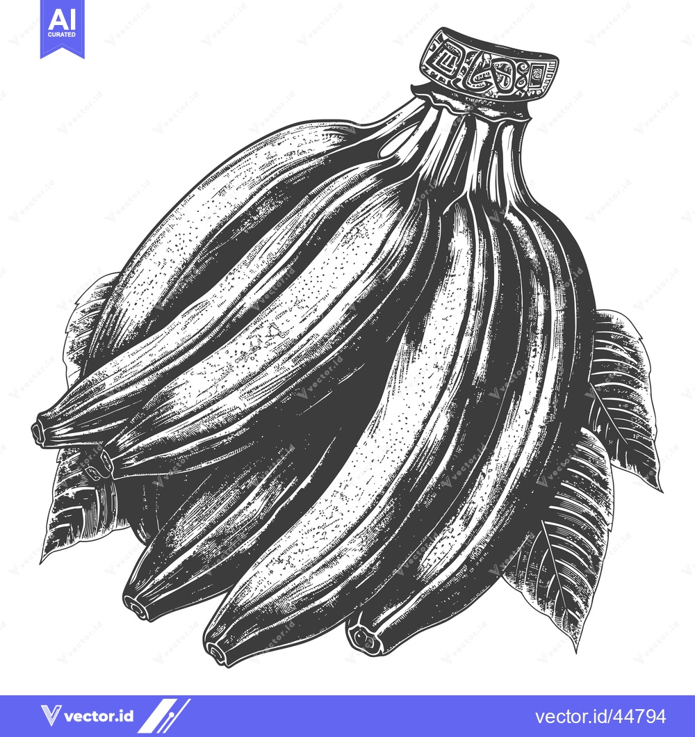 Premium Vector dari Hand-Drawn Engraving of a Bunch of Bananas with Leaves