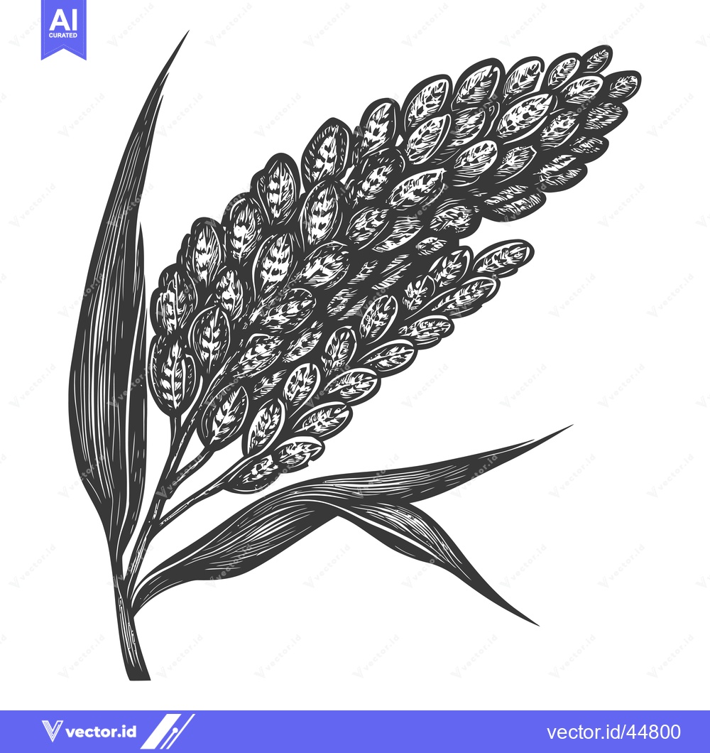 Premium Vector dari Hand-Drawn Engraving of a Single Grain Spike with Leaves