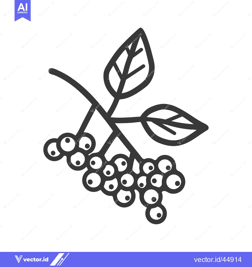 Premium Vector dari Hand-drawn illustration of a branch with berries and leaves
