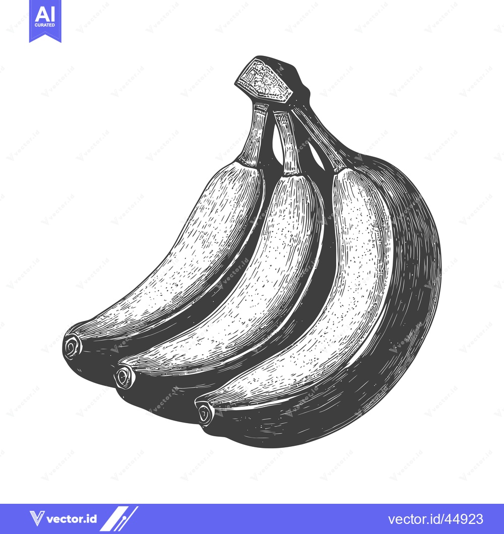 Premium Vector dari Hand-drawn illustration of a bunch of bananas