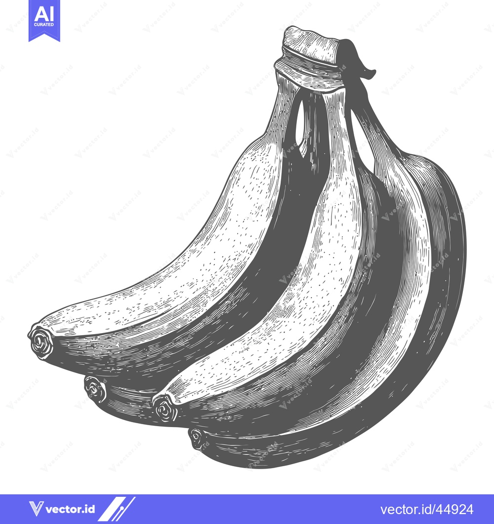 Premium Vector dari Hand-Drawn Illustration of a Bunch of Bananas