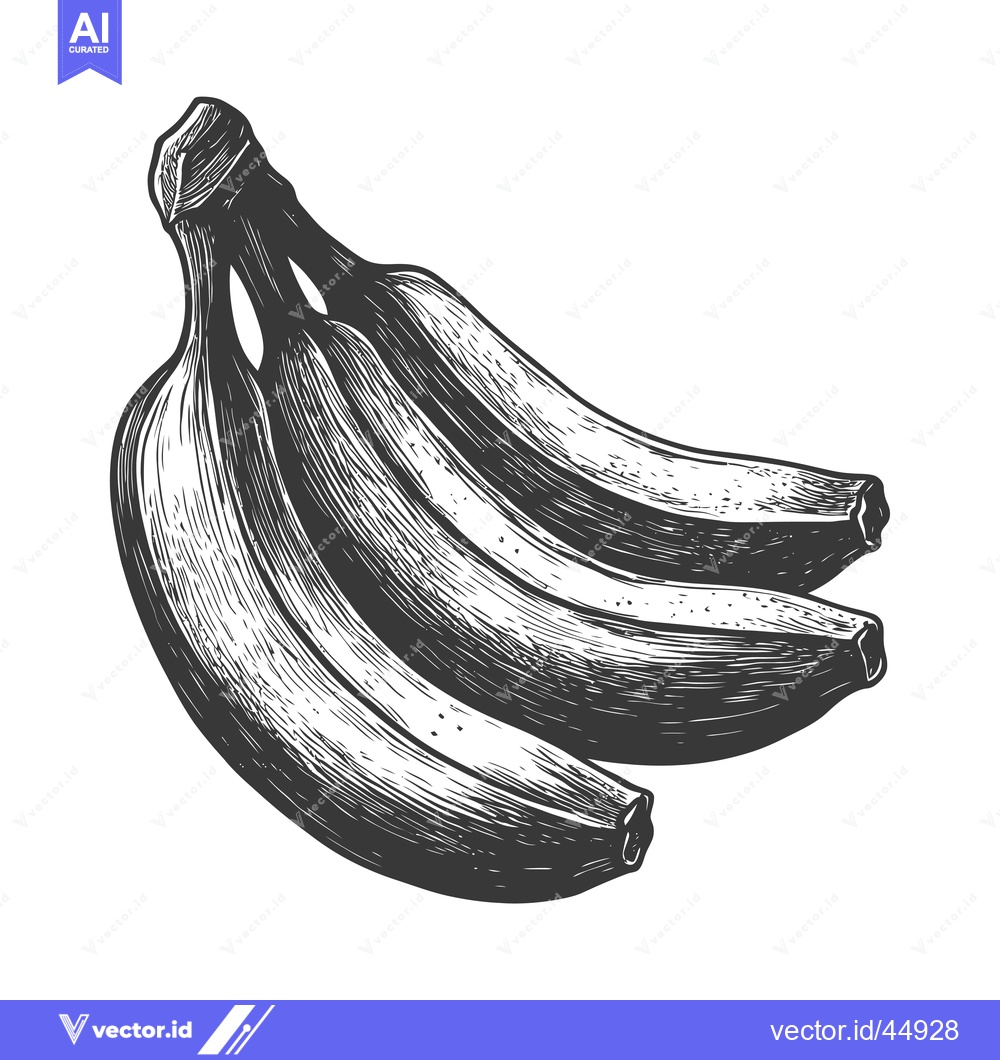 Premium Vector dari Hand-drawn illustration of a bunch of four ripe bananas