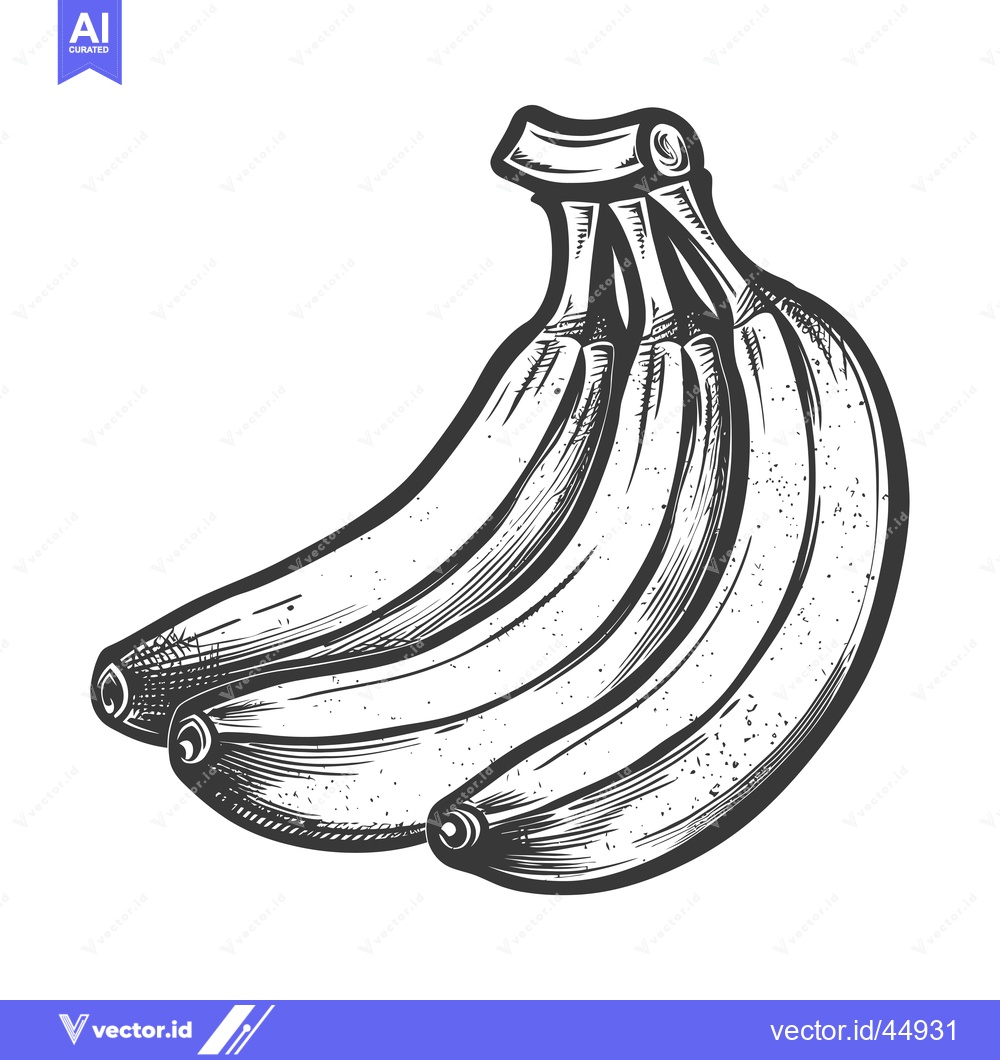 Premium Vector of Hand-Drawn Illustration of a Bunch of Ripe Bananas