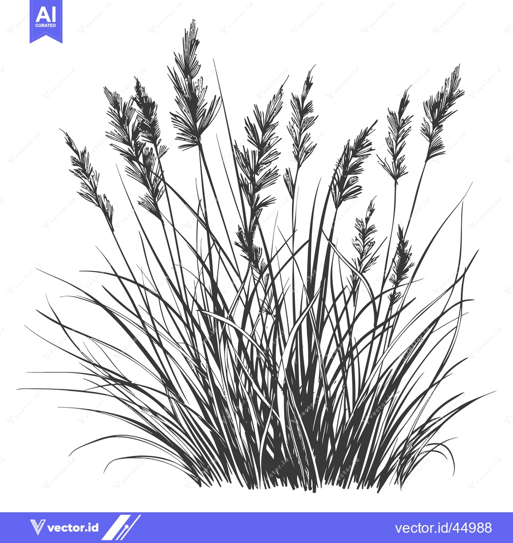 Premium Vector of Hand-Drawn Illustration of a Cluster of Tall Grass with Delicate Seed