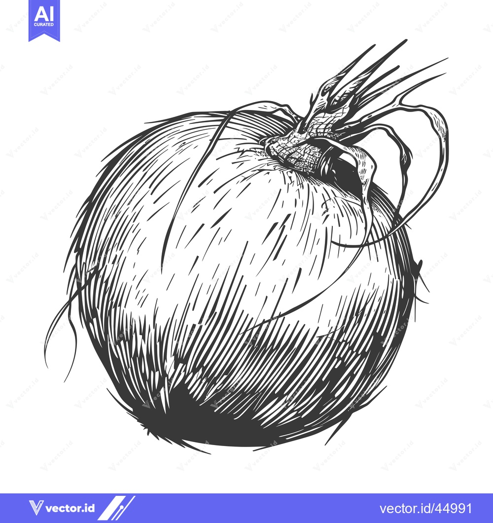 Premium Vector dari Hand-Drawn Illustration of a Coconut with Its Husk