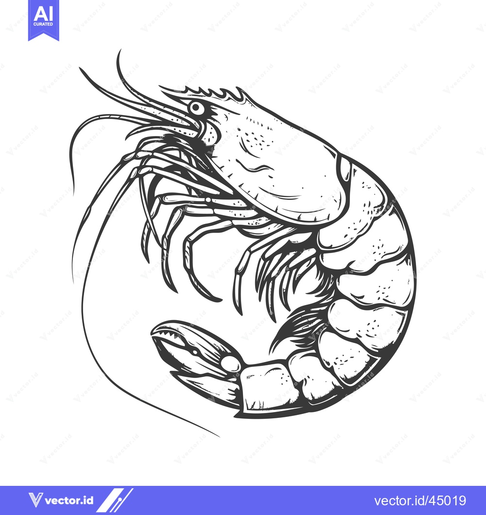 Premium Vector dari Hand-drawn illustration of a curled-up shrimp