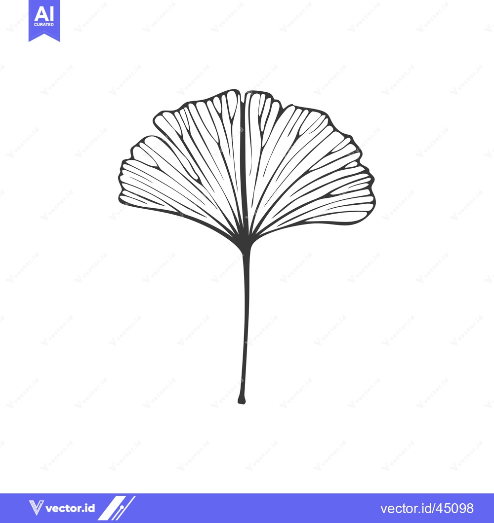Premium Vector dari Hand-drawn Illustration of a Ginkgo Biloba Leaf