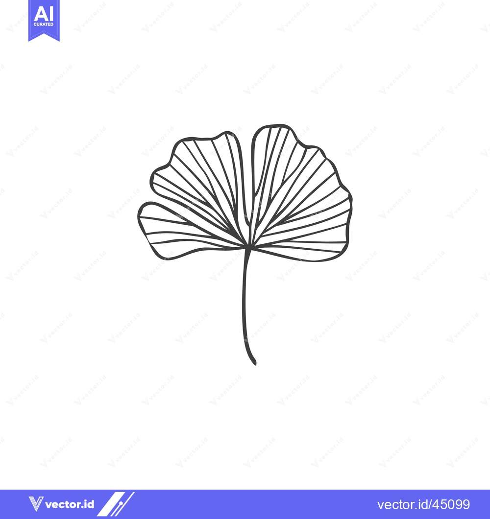 Premium Vector of Hand-Drawn Illustration of a Ginkgo Leaf