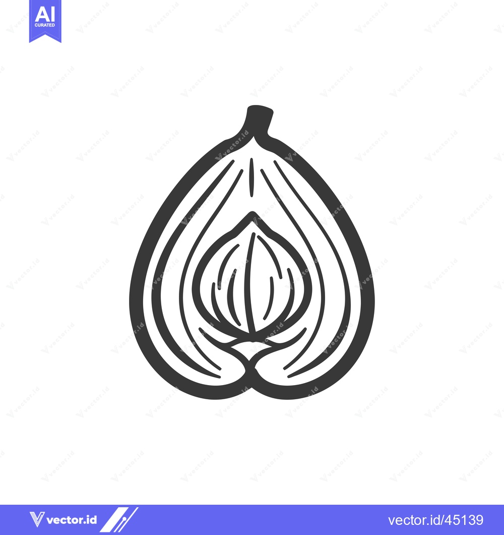 Premium Vector of Hand-Drawn Illustration of a Halved Fig with Visible Interior