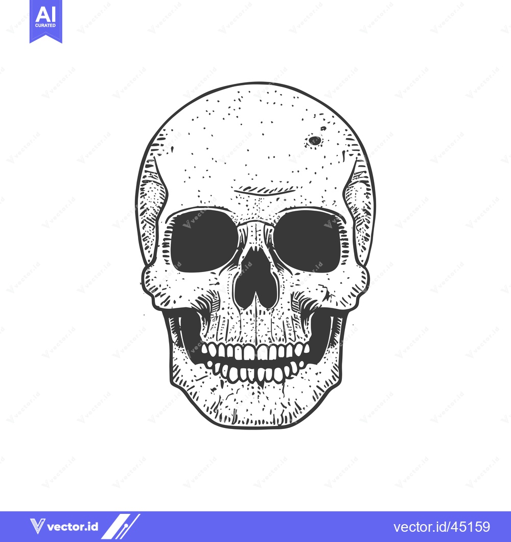 Premium Vector dari Hand-drawn Illustration of a Human Skull with a Grin