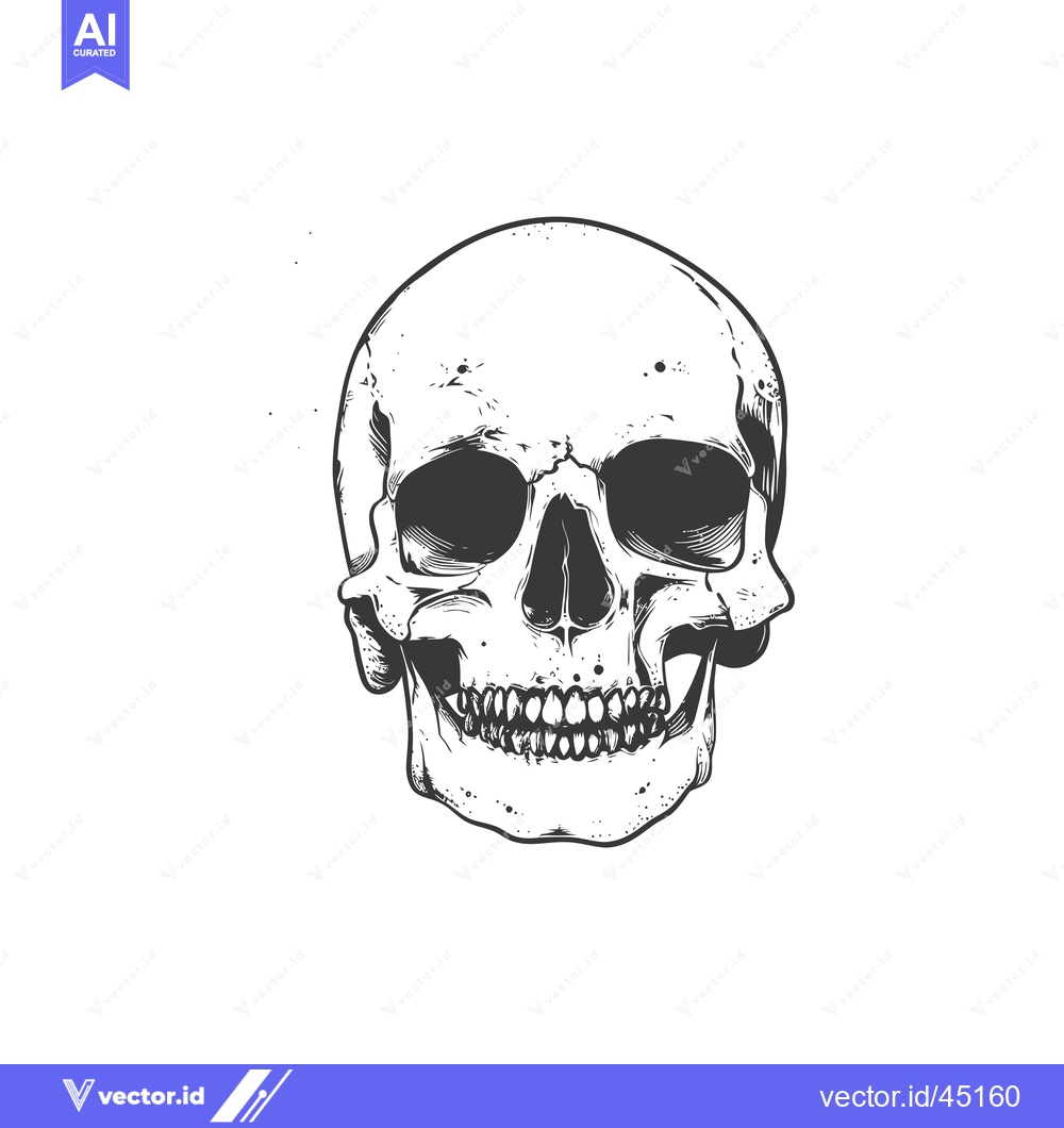 Premium Vector of Hand-drawn illustration of a human skull with teeth