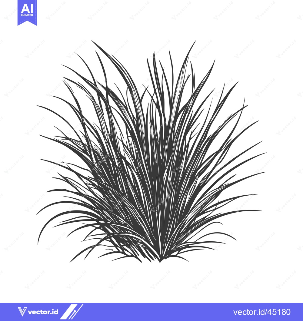 Premium Vector of Hand-Drawn Illustration of a Lush, Black and White Grass Clump
