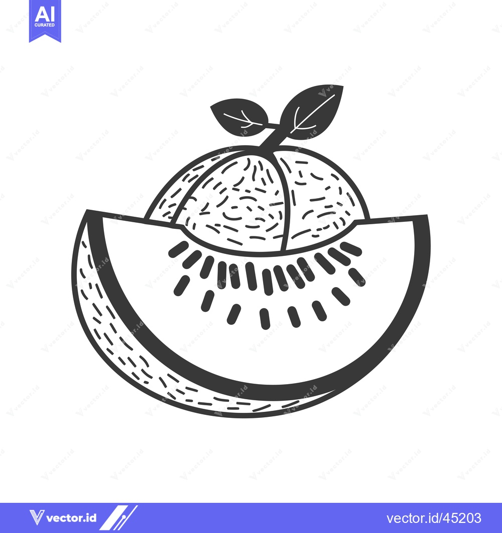 Premium Vector dari Hand-drawn illustration of a melon with a slice