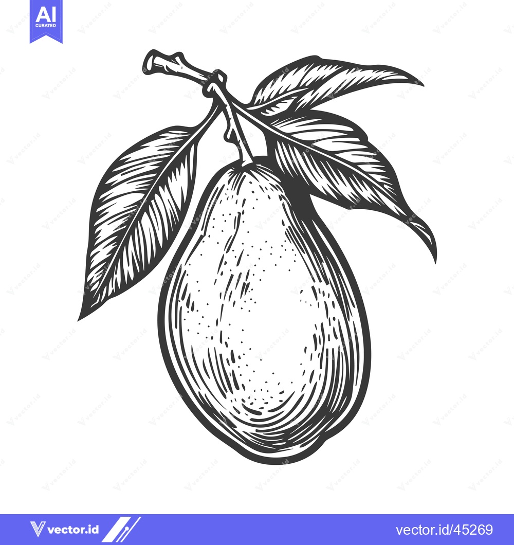 Premium Vector of Hand-Drawn Illustration of a Pear with Leaves