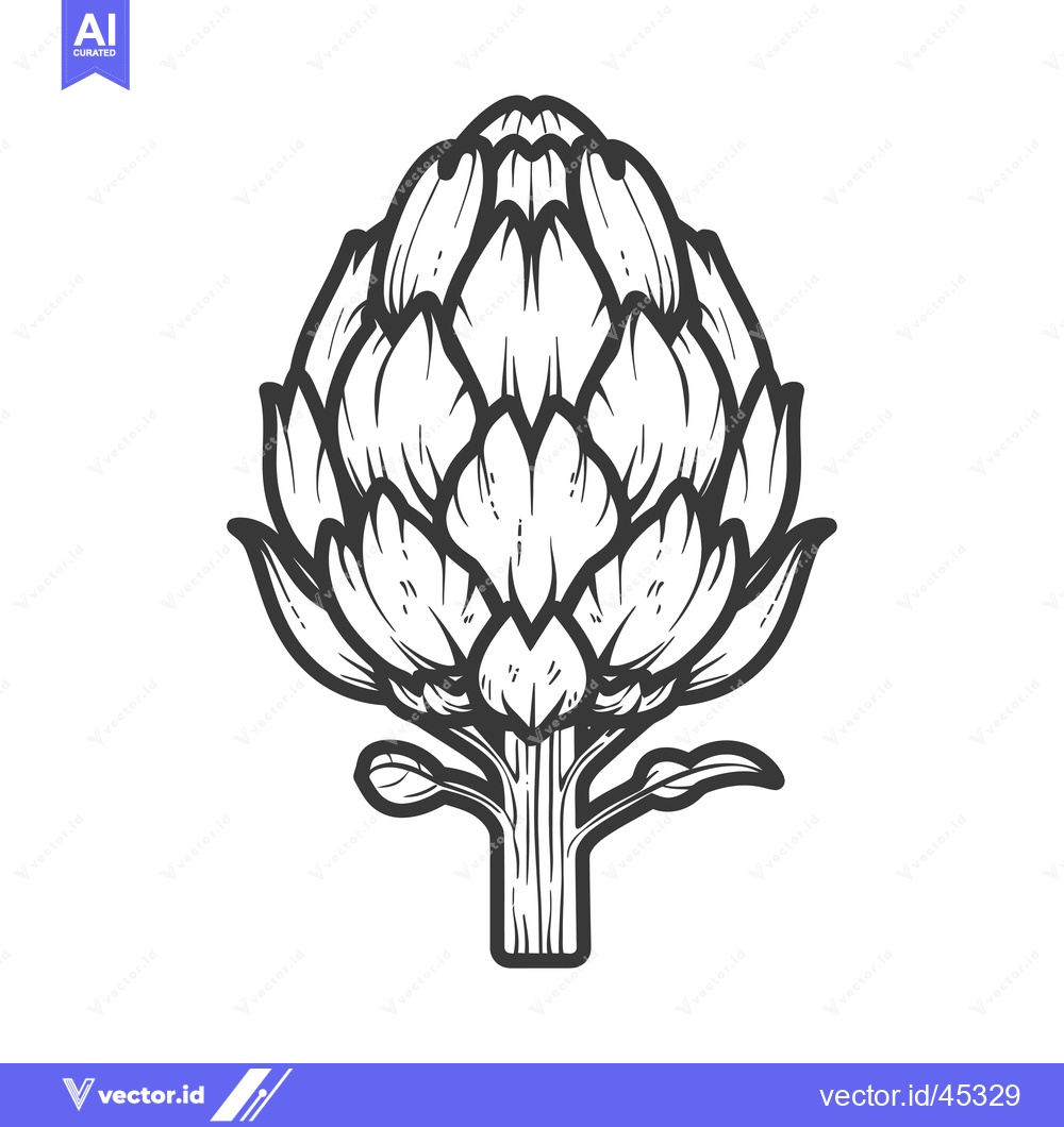 Premium Vector dari Hand-Drawn Illustration of a Single Artichoke