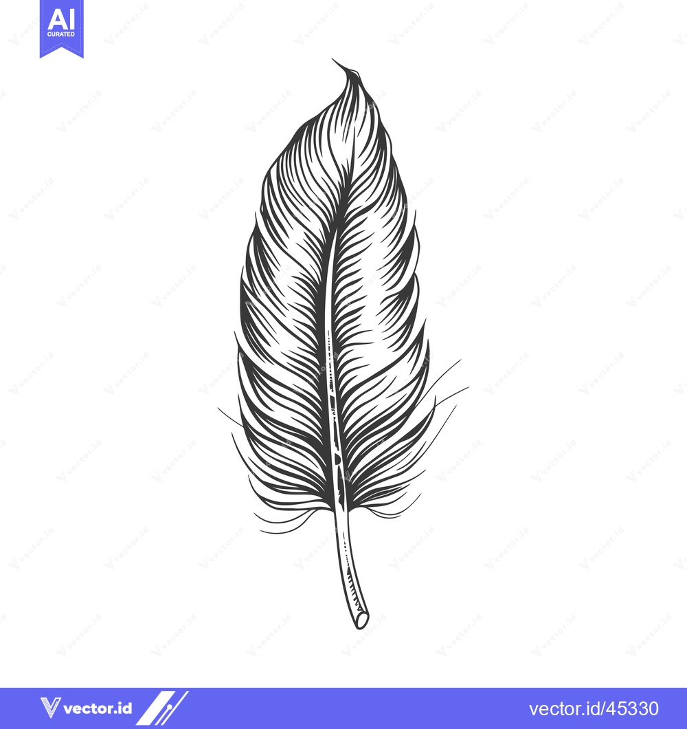 Premium Vector dari Hand-Drawn Illustration of a Single Bird Feather