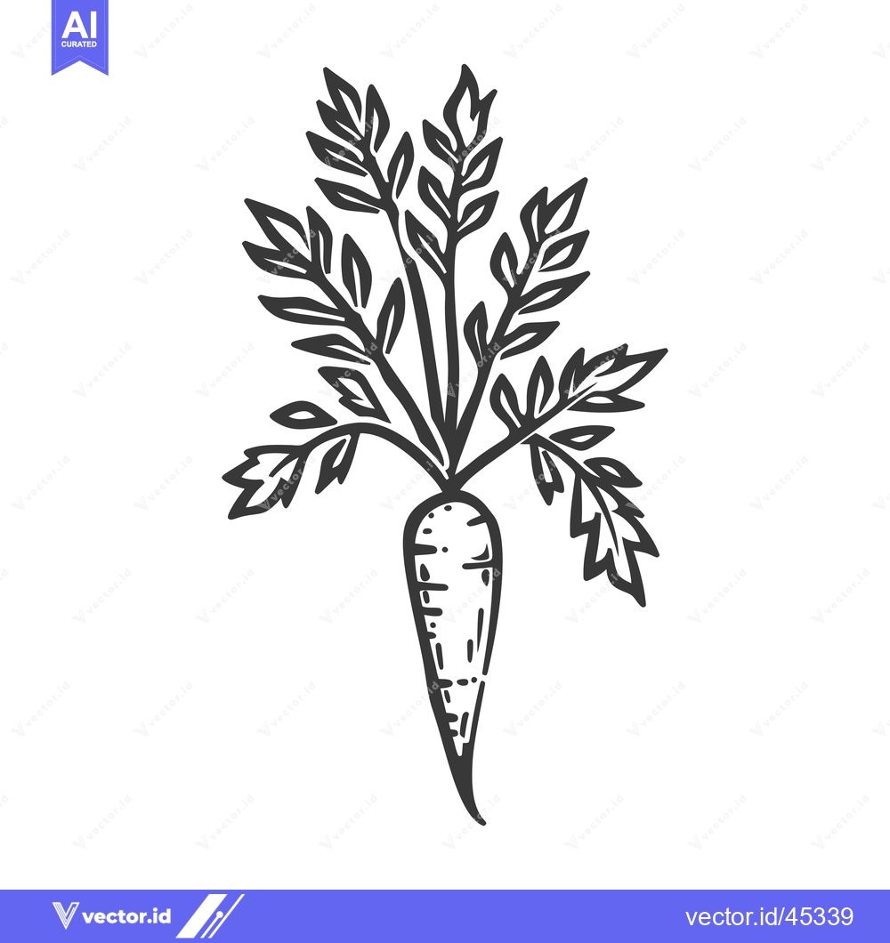 Premium Vector of Hand-drawn Illustration of a Single Carrot with Green Tops