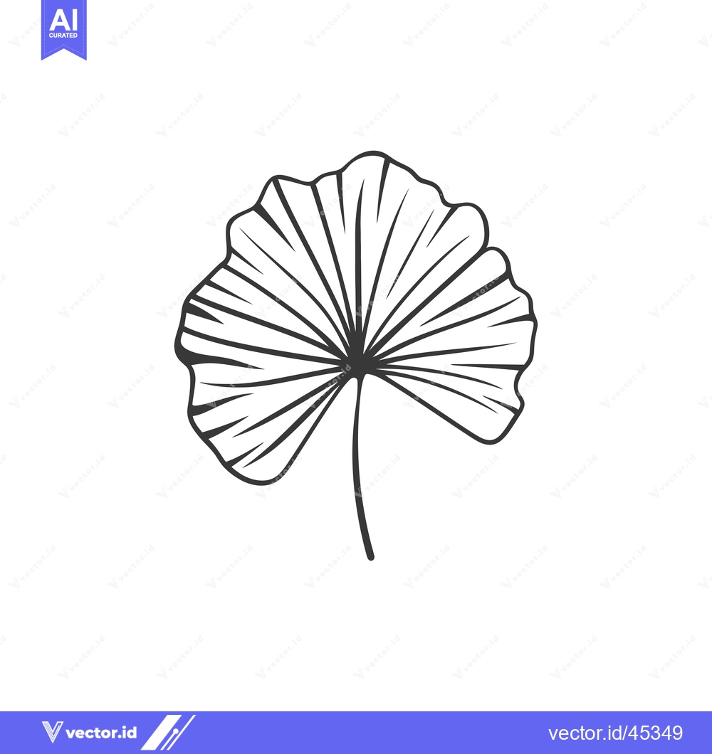 Premium Vector dari Hand-Drawn Illustration of a Single Ginkgo Leaf