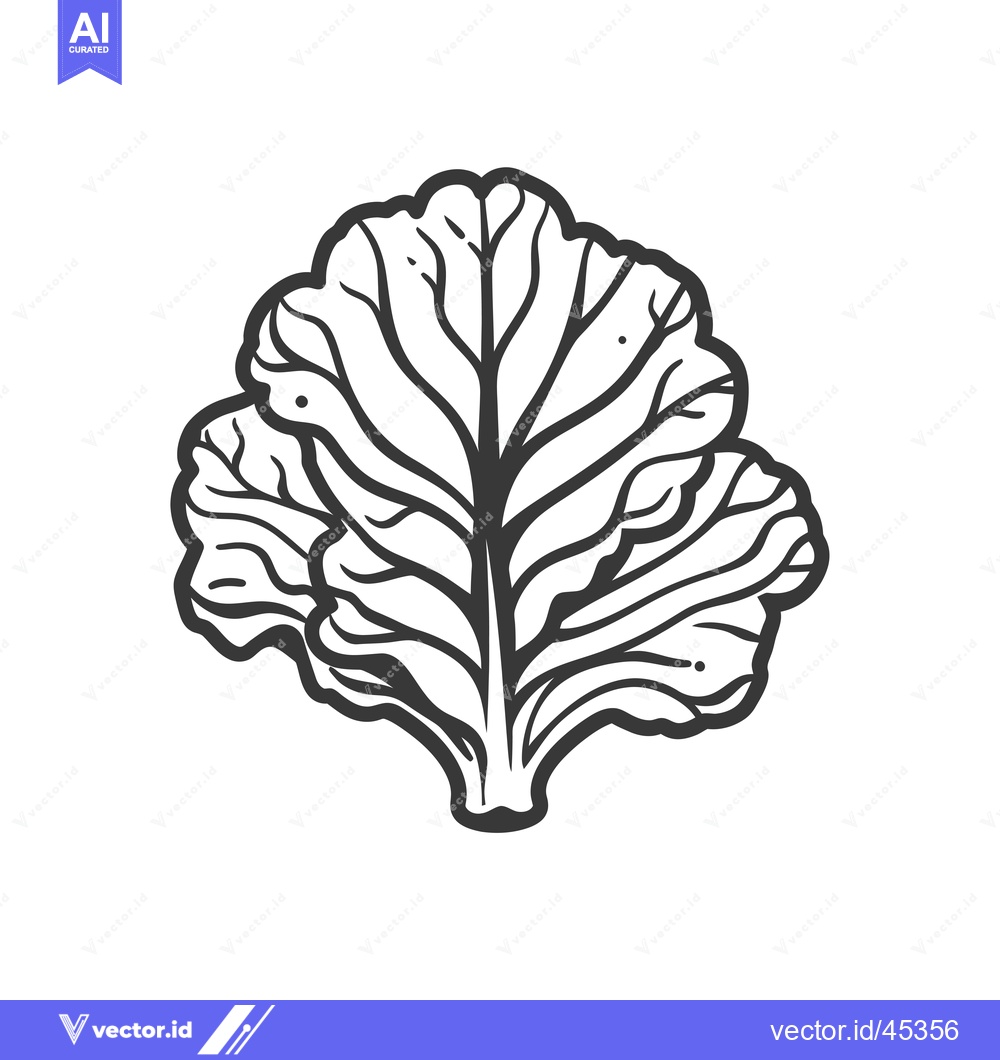 Premium Vector dari Hand-Drawn Illustration of a Single Leaf of Curly Kale