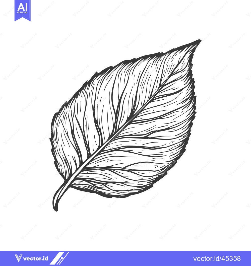 Premium Vector dari Hand-Drawn Illustration of a Single Leaf with Detailed Veins