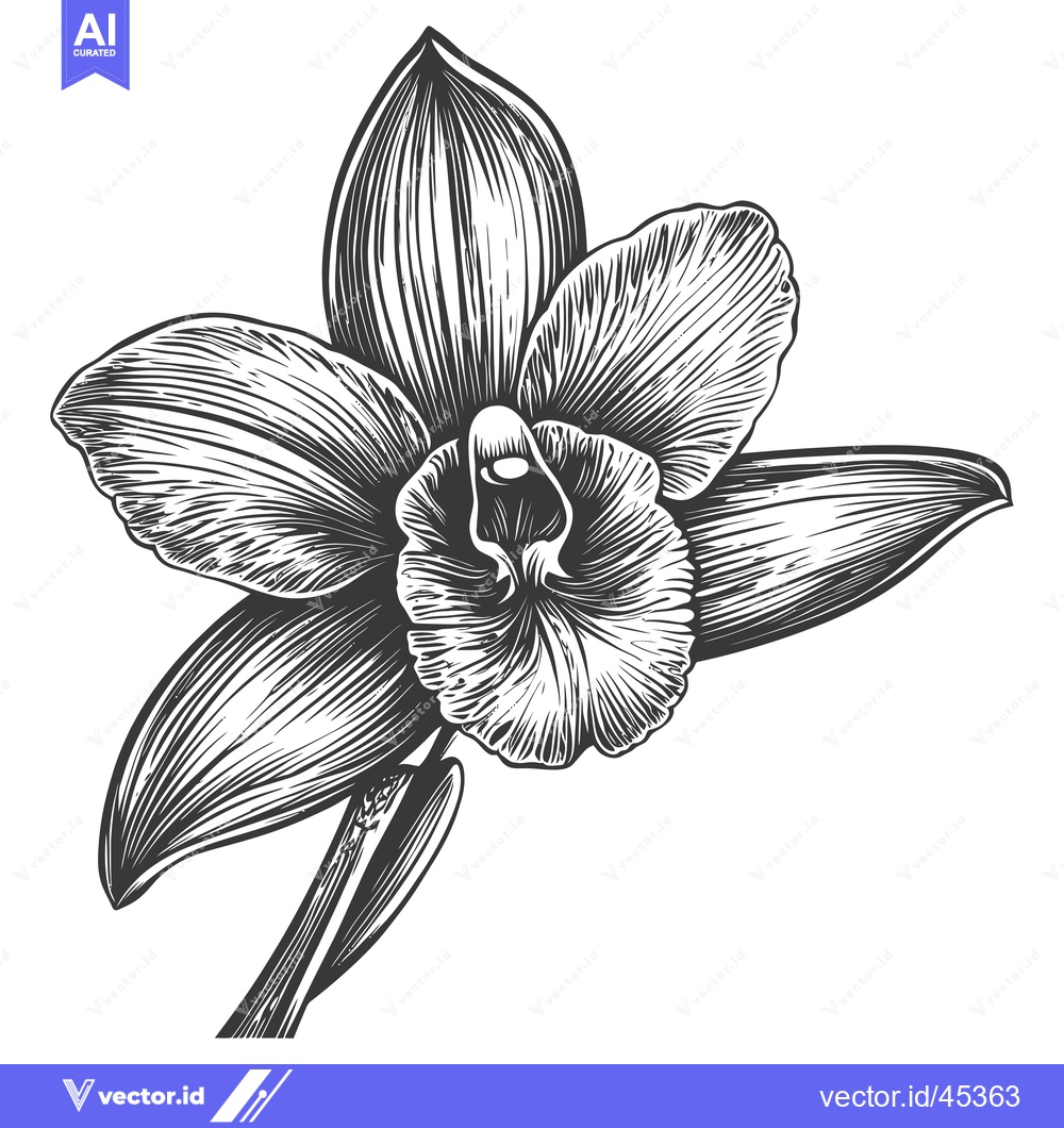 Premium Vector dari Hand-drawn Illustration of a Single Orchid Flower
