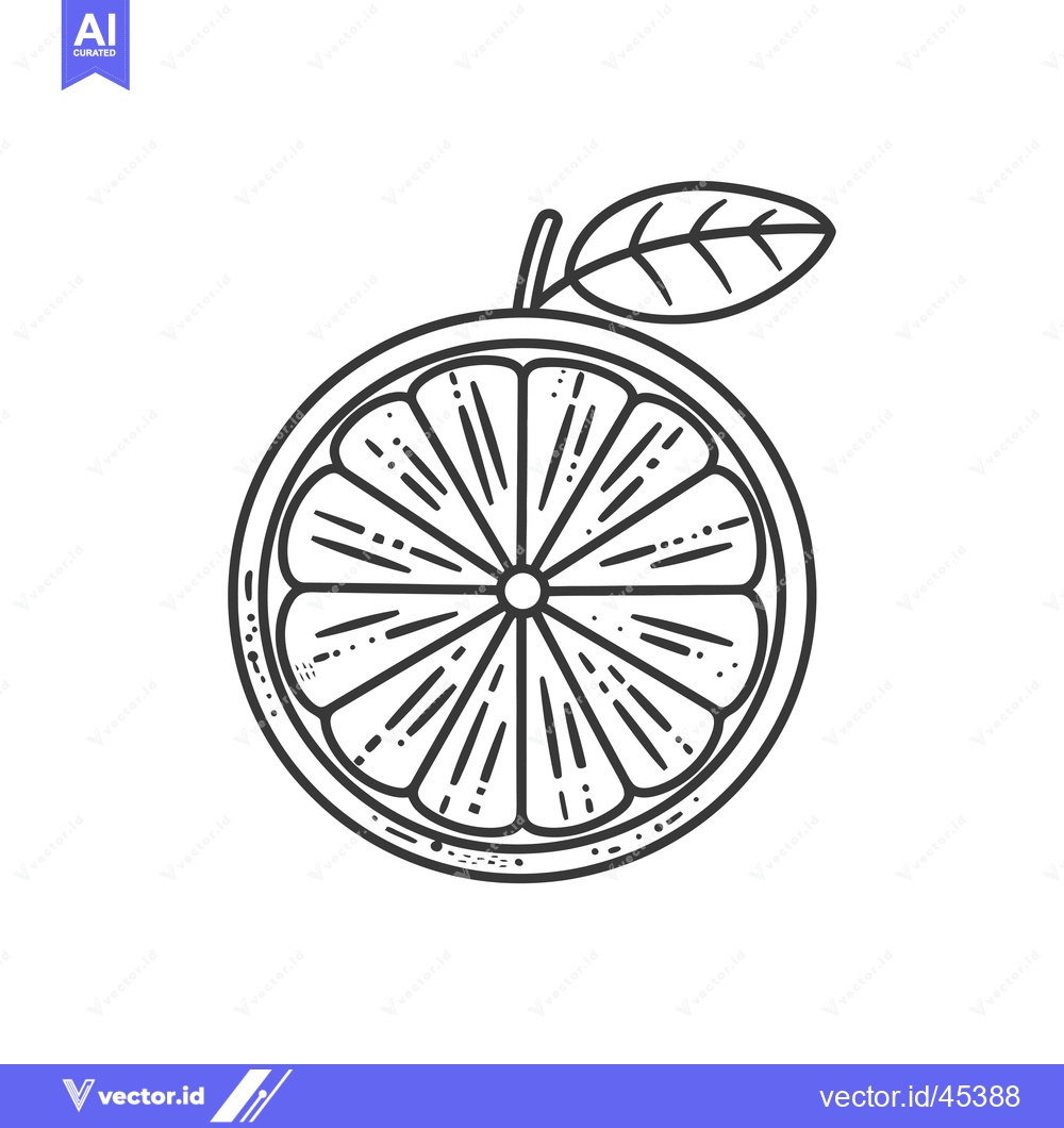 Premium Vector dari Hand-Drawn Illustration of a Sliced Orange with a Leaf