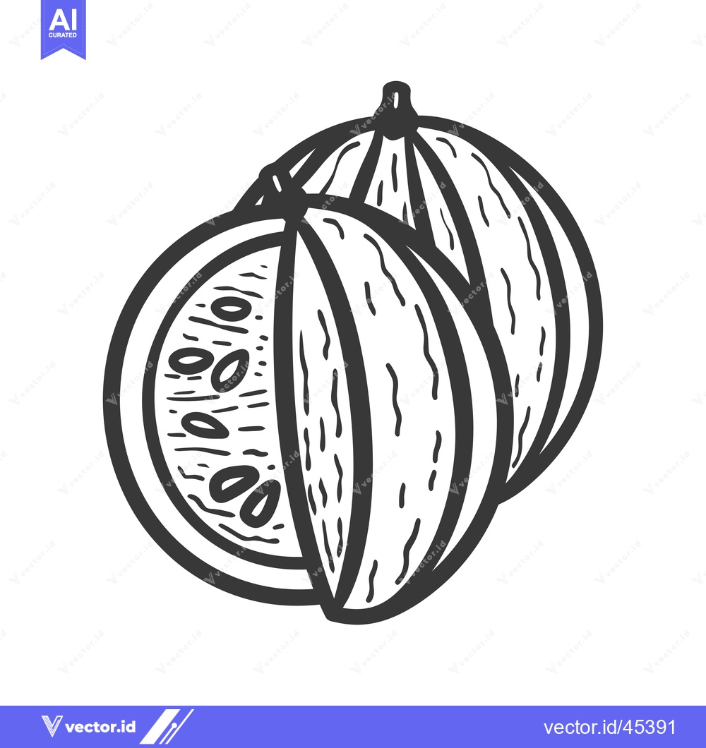 Premium Vector of Hand-drawn Illustration of a Sliced Watermelon