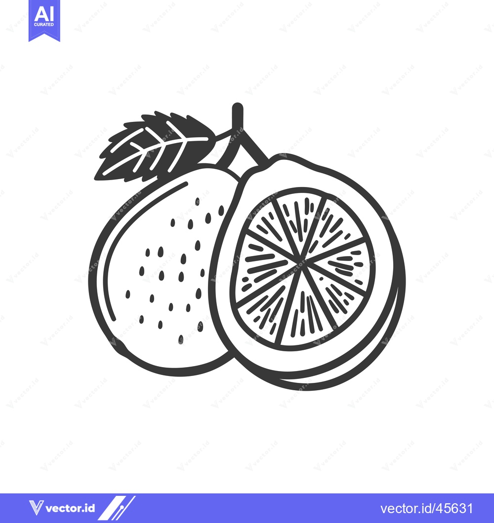 Premium Vector of Hand-drawn illustration of a whole and a sliced guava with a leaf