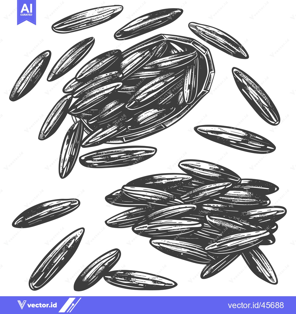 Premium Vector dari Hand Drawn Illustration of Black and White Sunflower Seeds