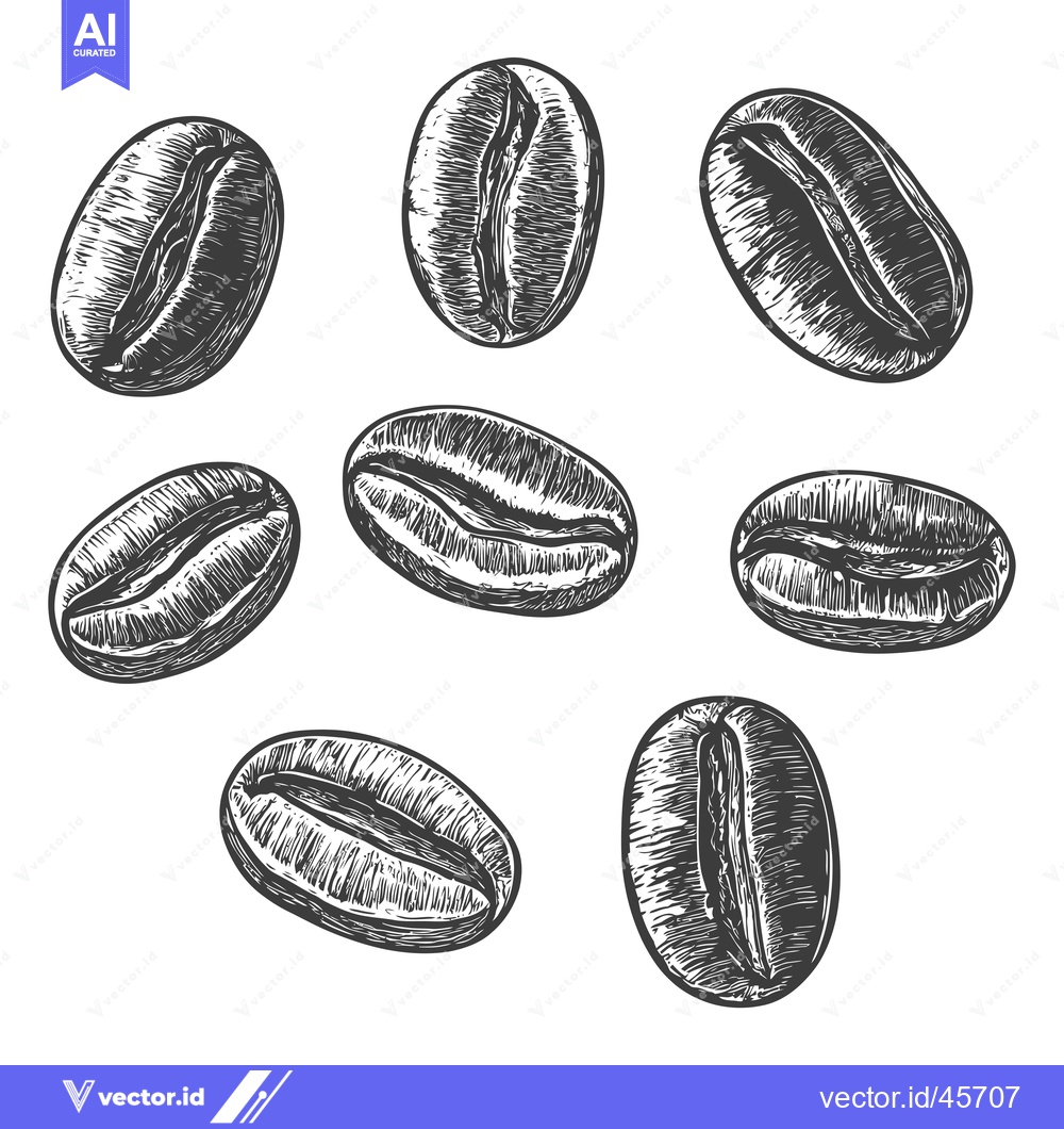 Premium Vector dari Hand-drawn Illustration of Coffee Beans in Black and White