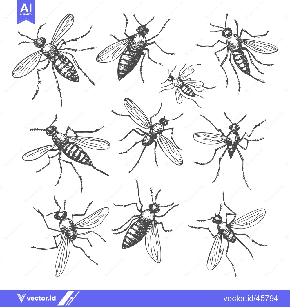 Premium Vector dari Hand-Drawn Illustration of Nine Mosquitoes in Various Poses