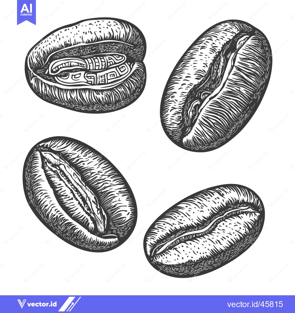 Premium Vector of Hand Drawn Illustration of Roasted Coffee Beans